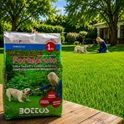Semi per Prato verde, Tappeto erboso rustici particolarmente resistenti al calpestio e alla siccità. Veloce germinazione
