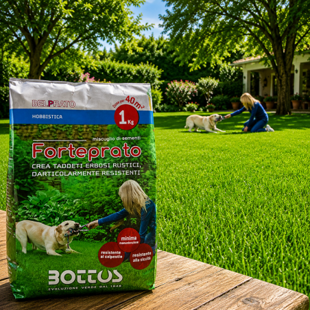 Semi per Prato verde, Tappeto erboso rustici particolarmente resistenti al calpestio e alla siccità. Veloce germinazione