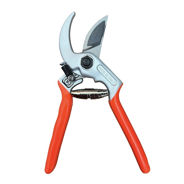 Forbici cesoie per potatura giardinaggio e vigneto, 21cm, professionale